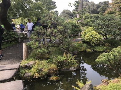 Japanese Teaâ€™s garden