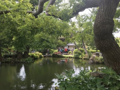 Japanese Teaâ€™s garden