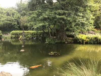 Japanese Teaâ€™s garden