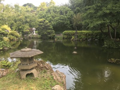 Japanese Teaâ€™s garden