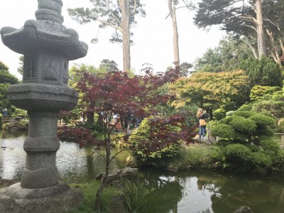 Japanese Teaâ€™s garden