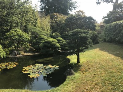 Japanese Teaâ€™s garden