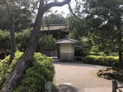 Japanese Teaâ€™s garden