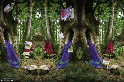 Flying Books of the forest