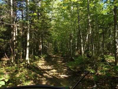 Riding the woods trails    L