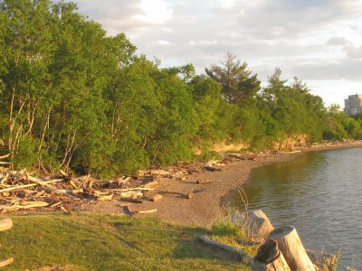 The shoreline of our favourite riverside spot