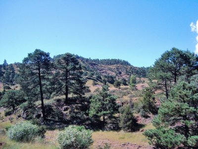 Sierra Tarahumara, Chihuahua.