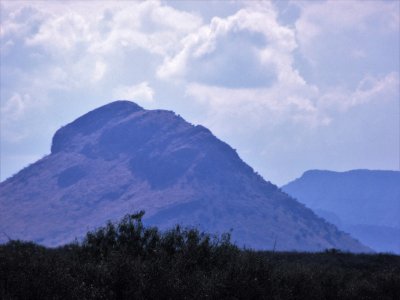 CampiÃ±a norteÃ±a, Chihuahua.