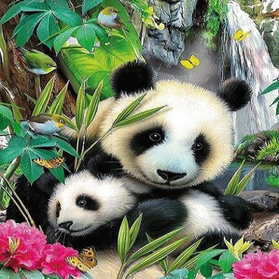 Pandas