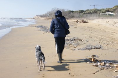 windy beach