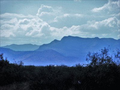 CampiÃ±a norteÃ±a, MÃ©xico.