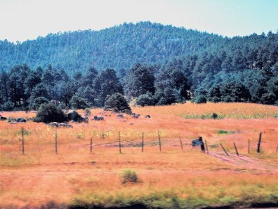 Sierra Tarahumara, MÃ©xico.