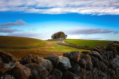 Country colours