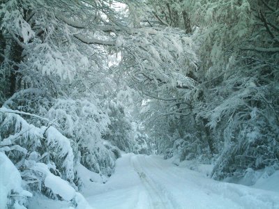 Cruce de los Andes