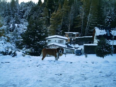 Bariloche San Bernardo