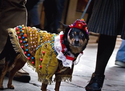 Carnival in Venice