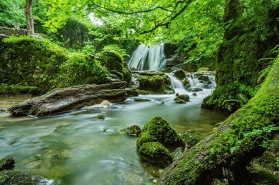 Janet 's Foss