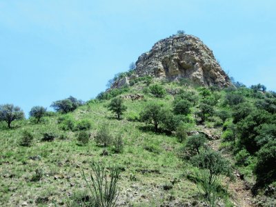 CampiÃ±a norteÃ±a, MÃ©xico.