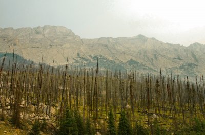 The Mystic Mountains in the Dust Canada