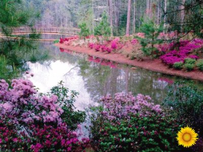 Paisaje de primavera