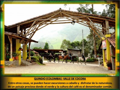 QUINDIO (COLOMBIA) -VALLE DE COCORA