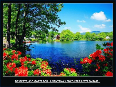 DESPERTE, ASOMARTE POR LA VENTANA Y ENCONTRAR ESTE PAISAJEâ€¦