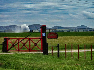 Campo argentino