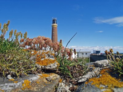 lighthouse schottland