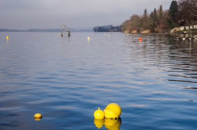 Hallwilersee