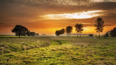 Paisagem da Natureza