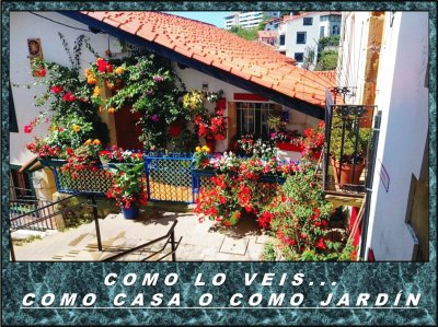 COMO LO VEIS...  COMO CASA O COMO JARDÃN