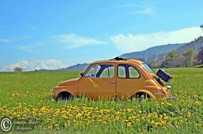 FIAT 500 fiore