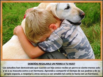 DEBERÃAS REGALARLE UN PERRO A TU HIJO?