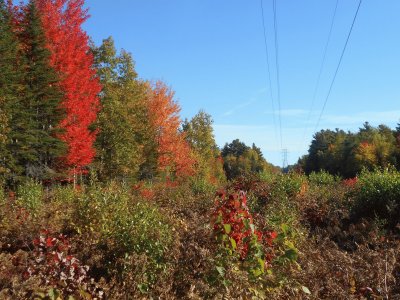 Crossing the hydro line    L