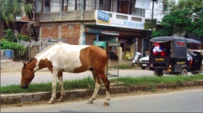 Manipur