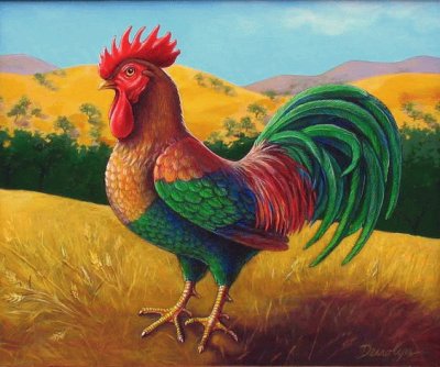 Beautyful Rooster