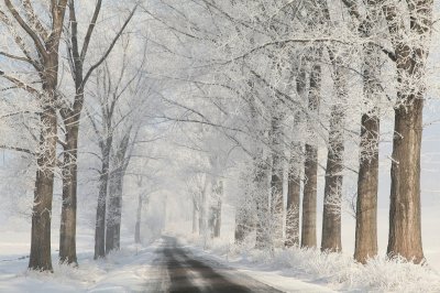 Paisaje de invierno