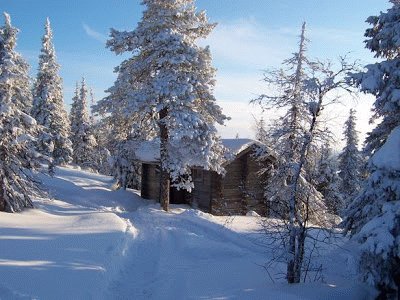 CabaÃ±a invernal