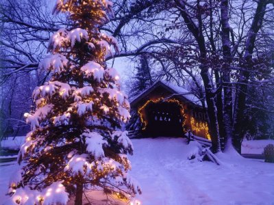 Ãrbol de navidad