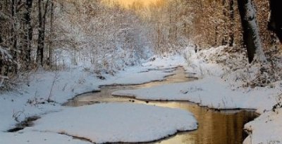 Paisaje de invierno