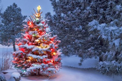 Ãrbol de navidad