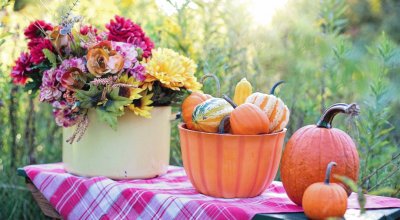 Gorgeous Fall Still Life