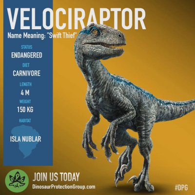 Velociraptor