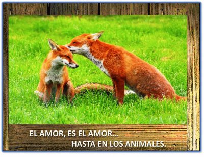 EL AMOR, ES EL AMORâ€¦