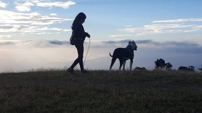 La niÃ±a y su mascota