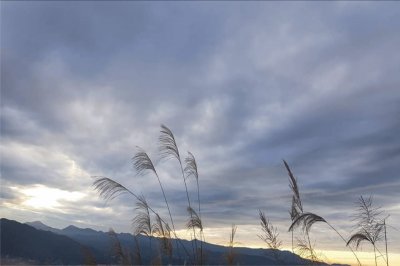 å°ç£åŸ”é‡Œé»ƒæ˜