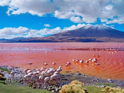 Laguna Colorada, BolÃ­via.