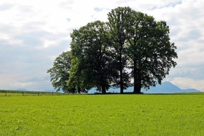 Campos do JordÃ£o