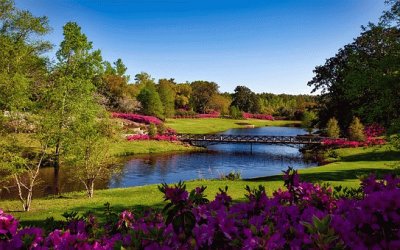 Jardins Bellingrath