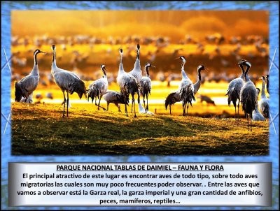 PARQUE NACIONAL TABLAS DE DAIMIEL â€“ FAUNA Y FLORA